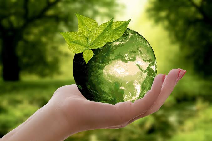 Eco-Friendly Workshop